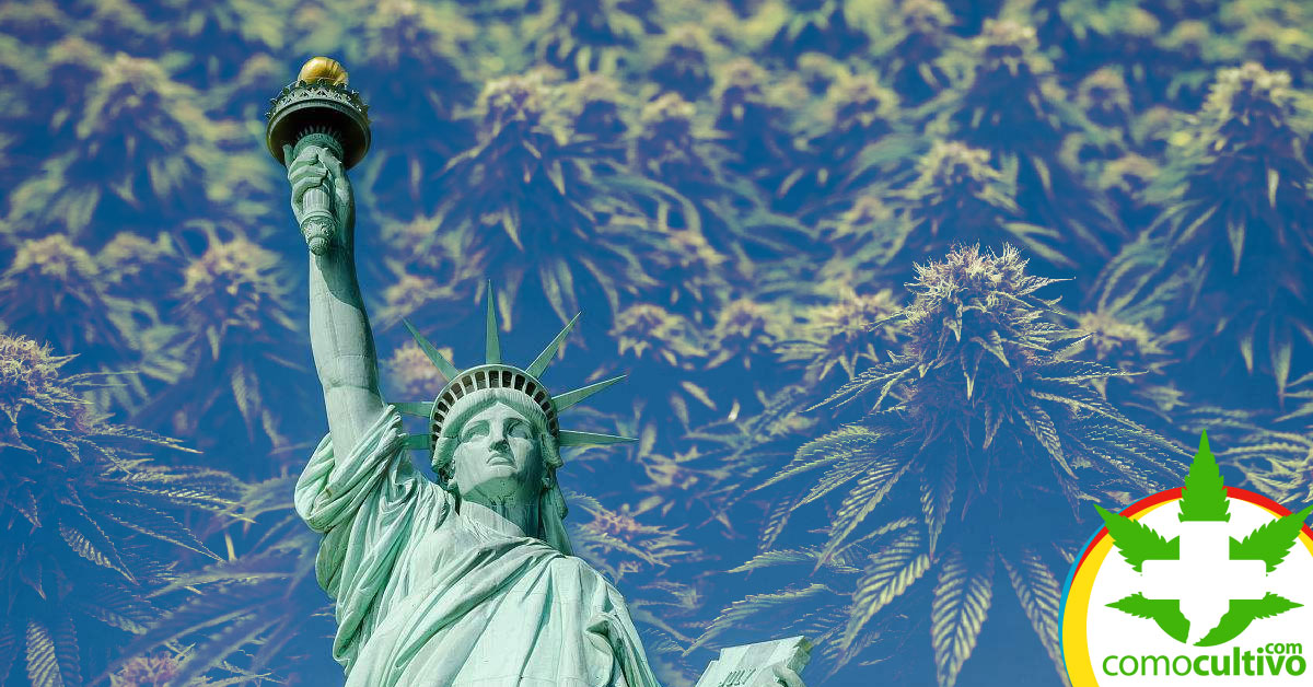 Nueva York legaliza la Marihuana