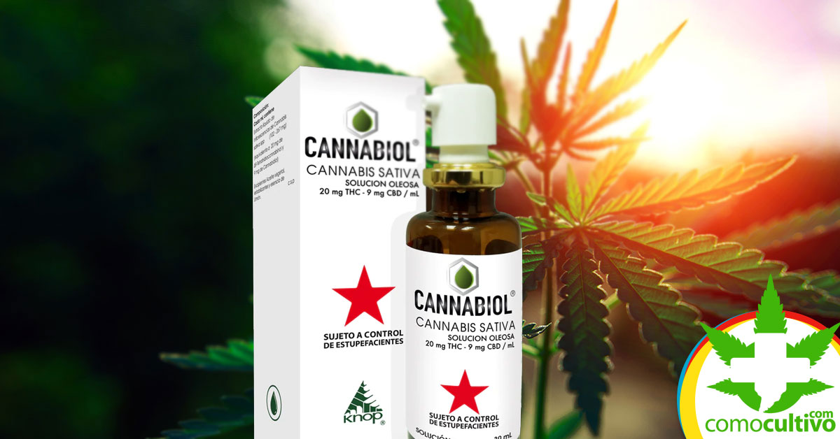 Cannabiol fabricado a base de Cannabis