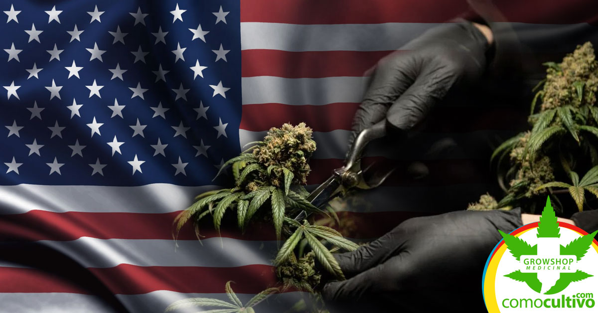 legalizar la cannabis en EE.UU