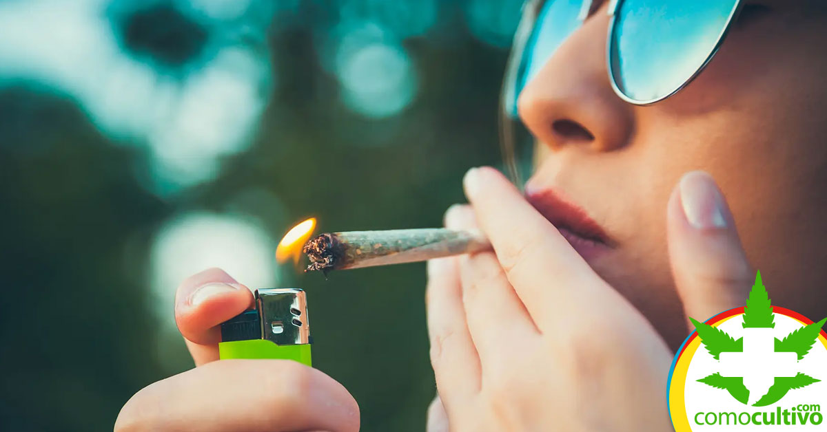 Fumar Cannabis alta en CBD