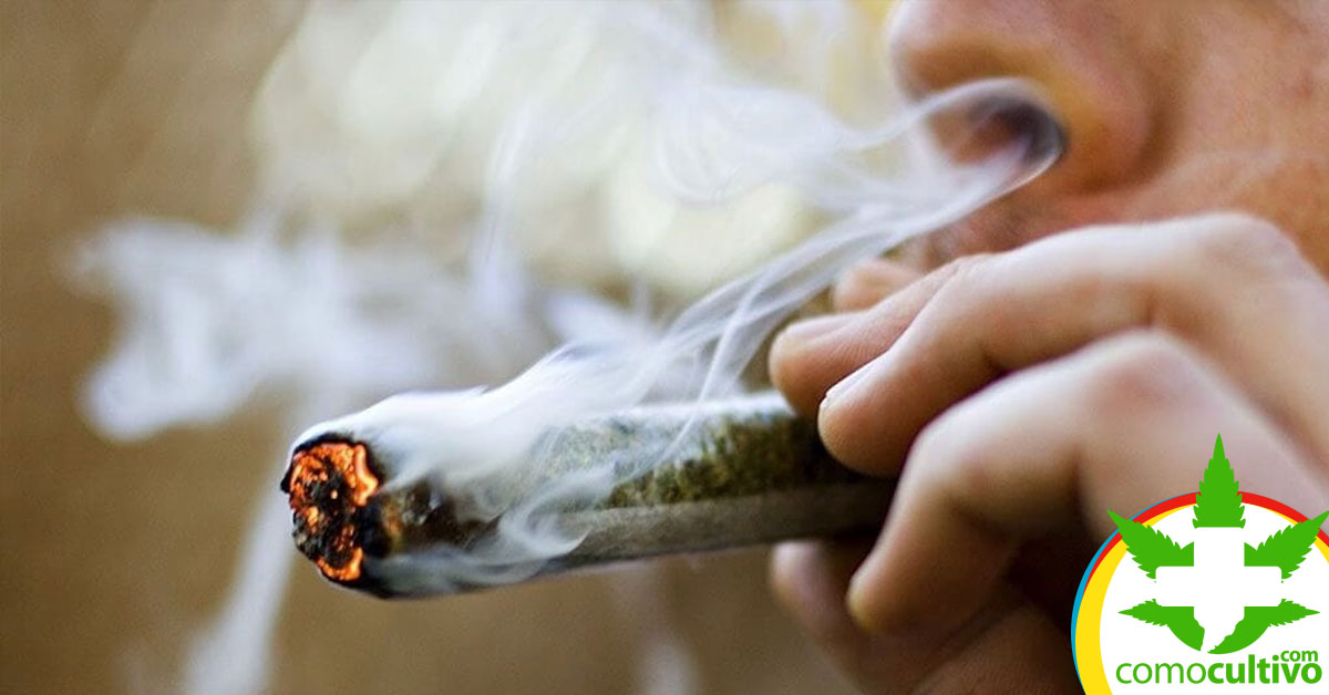 fumar Cannabis sin que huela