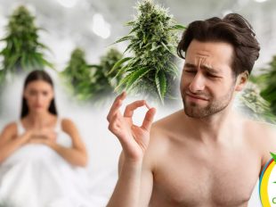 cannabis puede usarse en disfunciones sexuales