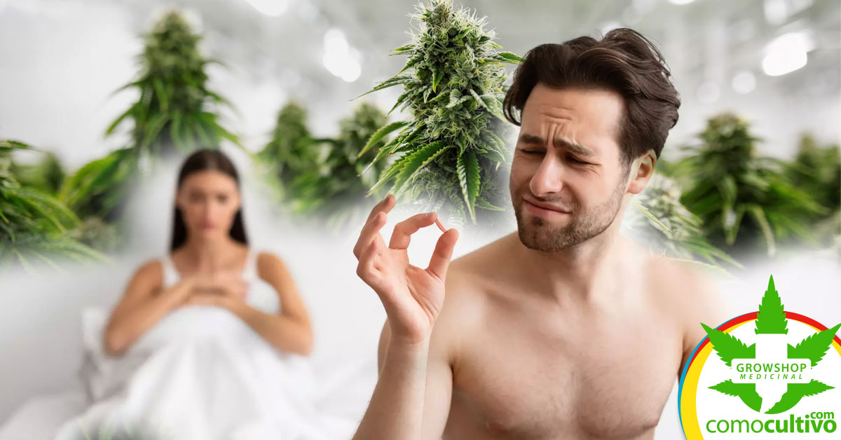 cannabis puede usarse en disfunciones sexuales
