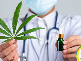 Será legal el Cultivo de Cannabis Medicinal