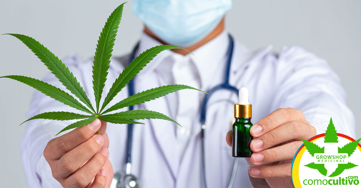 Será legal el Cultivo de Cannabis Medicinal